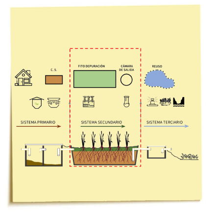 Siistema Tratamiento stiker Clarito